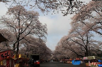 🌸 코바야시 목장(코바야시보쿠조) 이미지 2